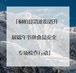 桐柏县清淮街道开展端午节前食品安全专项检查行动